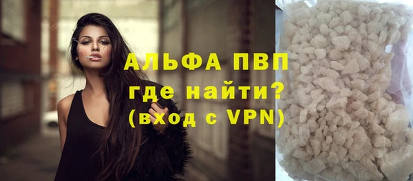 прущие грибы Протвино