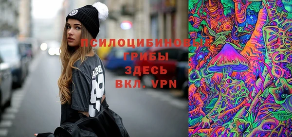 прущие грибы Протвино