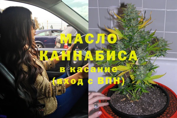 тгк Новосибирск
