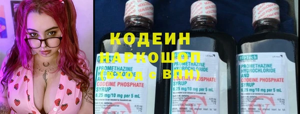 хмурый Елабуга