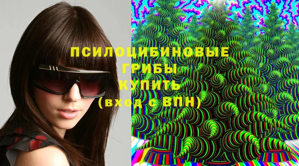 прущие грибы Протвино
