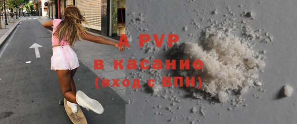 прущие грибы Протвино